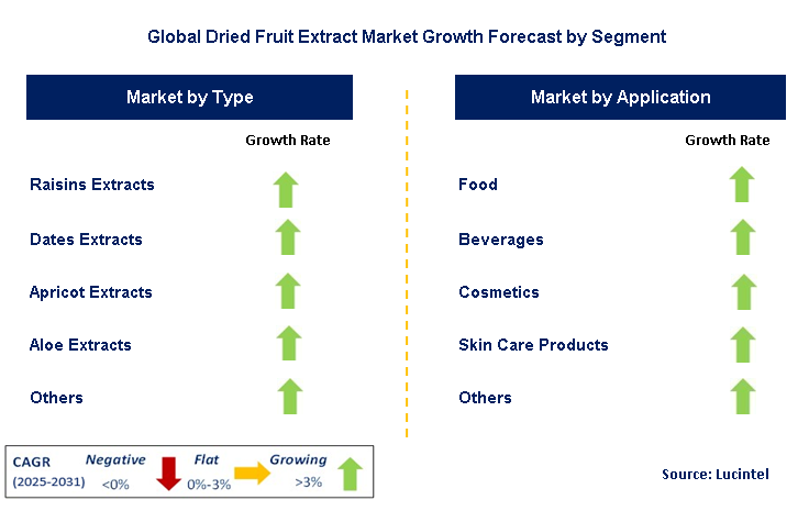 Dried Fruit Extract Market by Segment