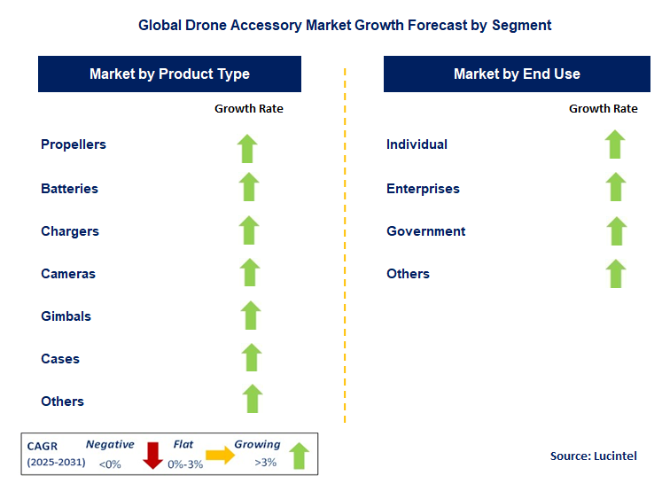 Drone Accessory Market by Segment