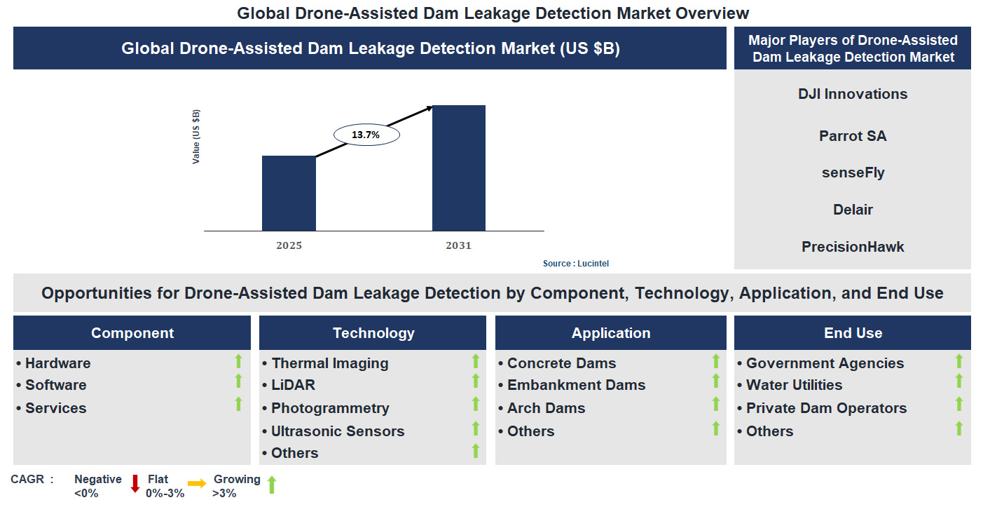 Drone-Assisted Dam Leakage Detection Market Trends and Forecast