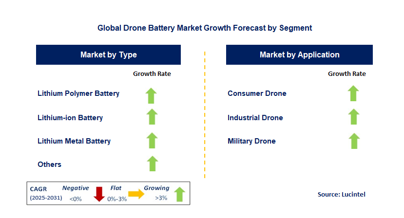 Drone Battery Market by Segment