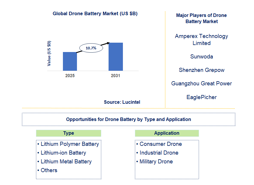 Drone Battery Market Trends and Forecast