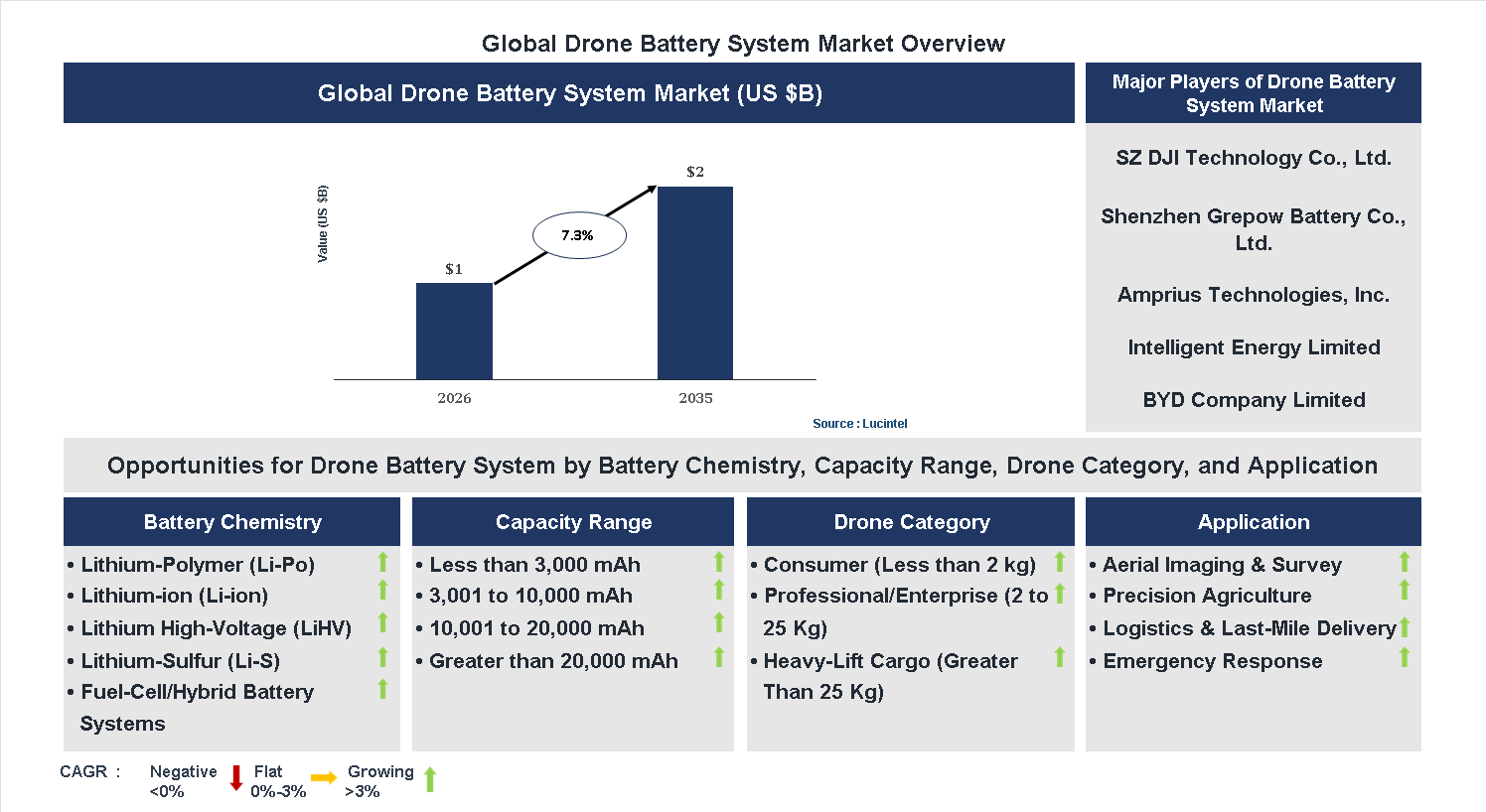 Drone Battery System Market Trends and Forecast