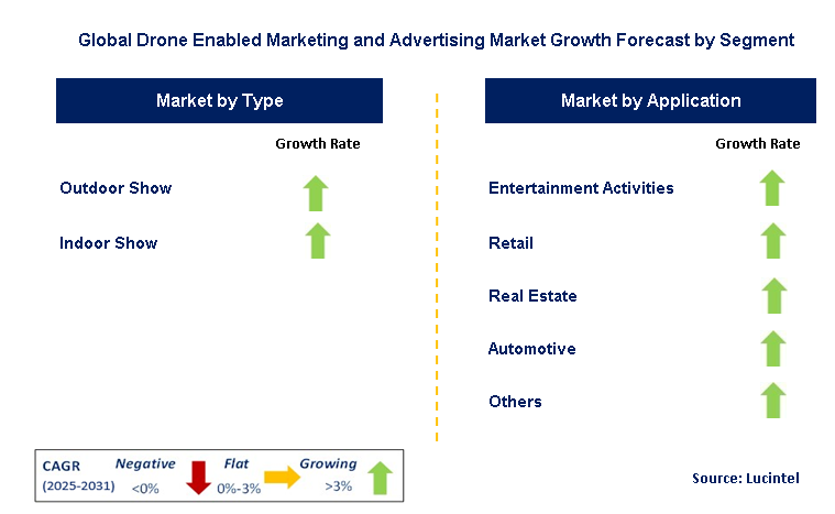 Drone Enableding And Advertising Market by Segment