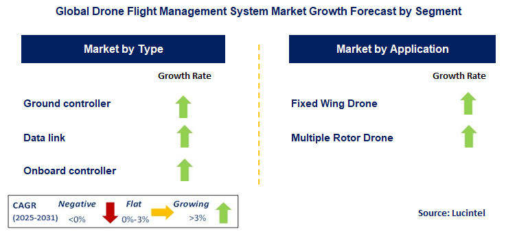 Drone Flight Management System Market by Segment