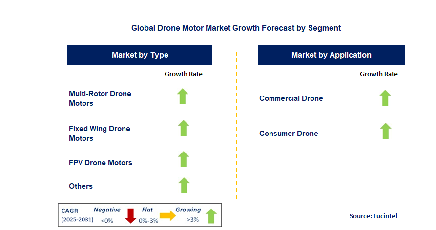 Drone Motor Market by Segment