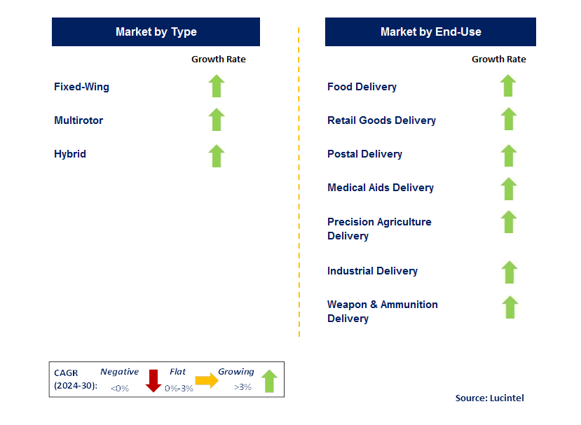 Drone Package Delivery by Segment