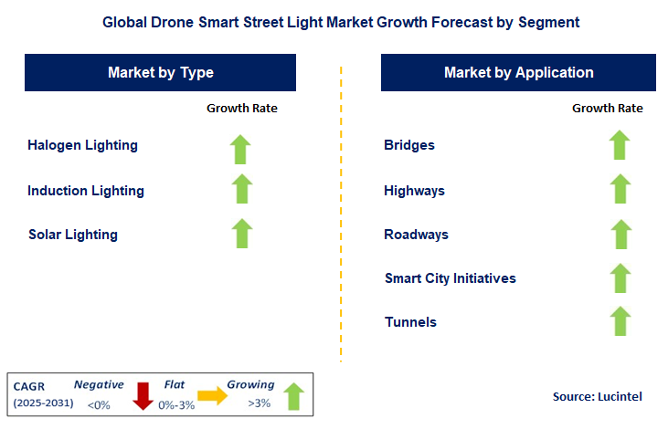 Drone Smart Street Light Market by Segment