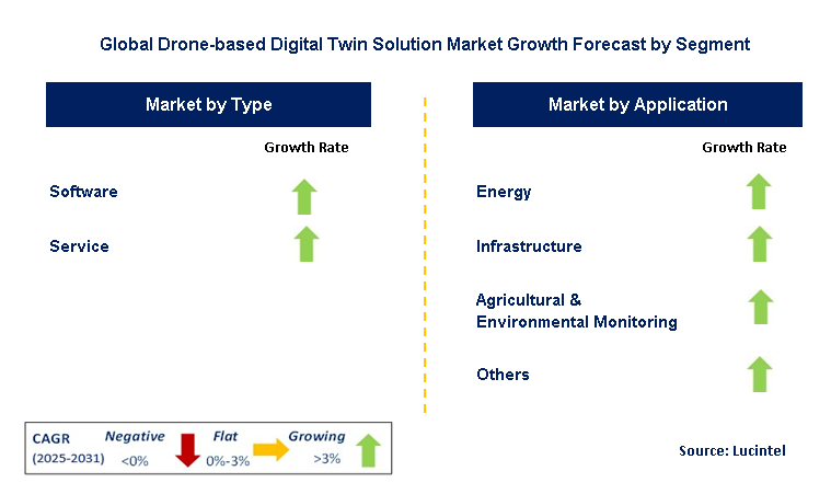 Drone-based Digital Twin Solution Market by Segment