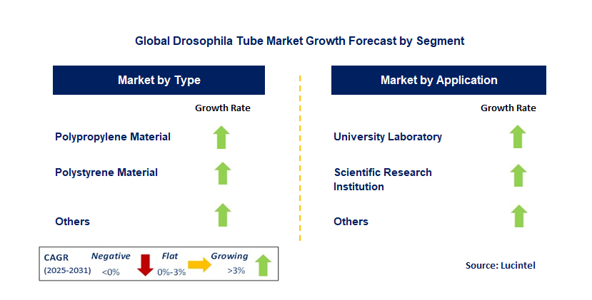 Drosophila Tube Market by Segment