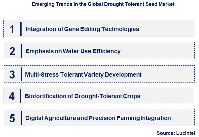 Emerging Trends in the Drought Tolerant Seed Market