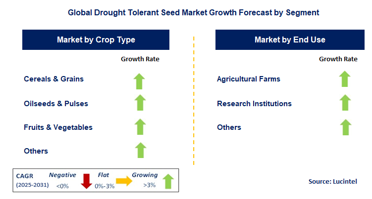 Drought Tolerant Seed Market by Segment