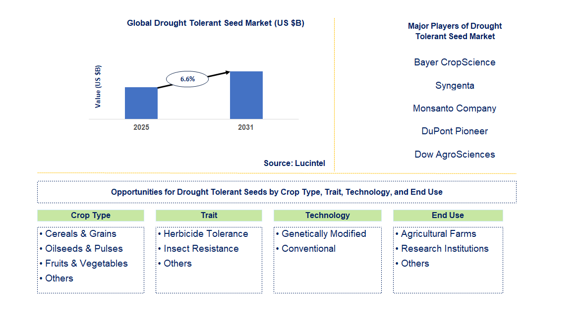Drought Tolerant Seed Market Trends and Forecast