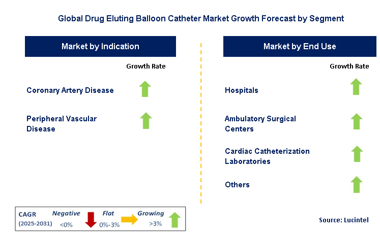 Drug Eluting Balloon Catheter Market by Segment
