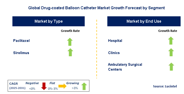 Drug-coated Balloon Catheter Market by Segment
