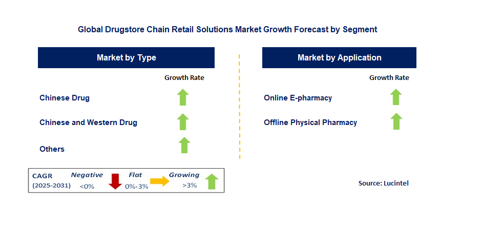 Drugstore Chain Retail Solutions Market by Segment