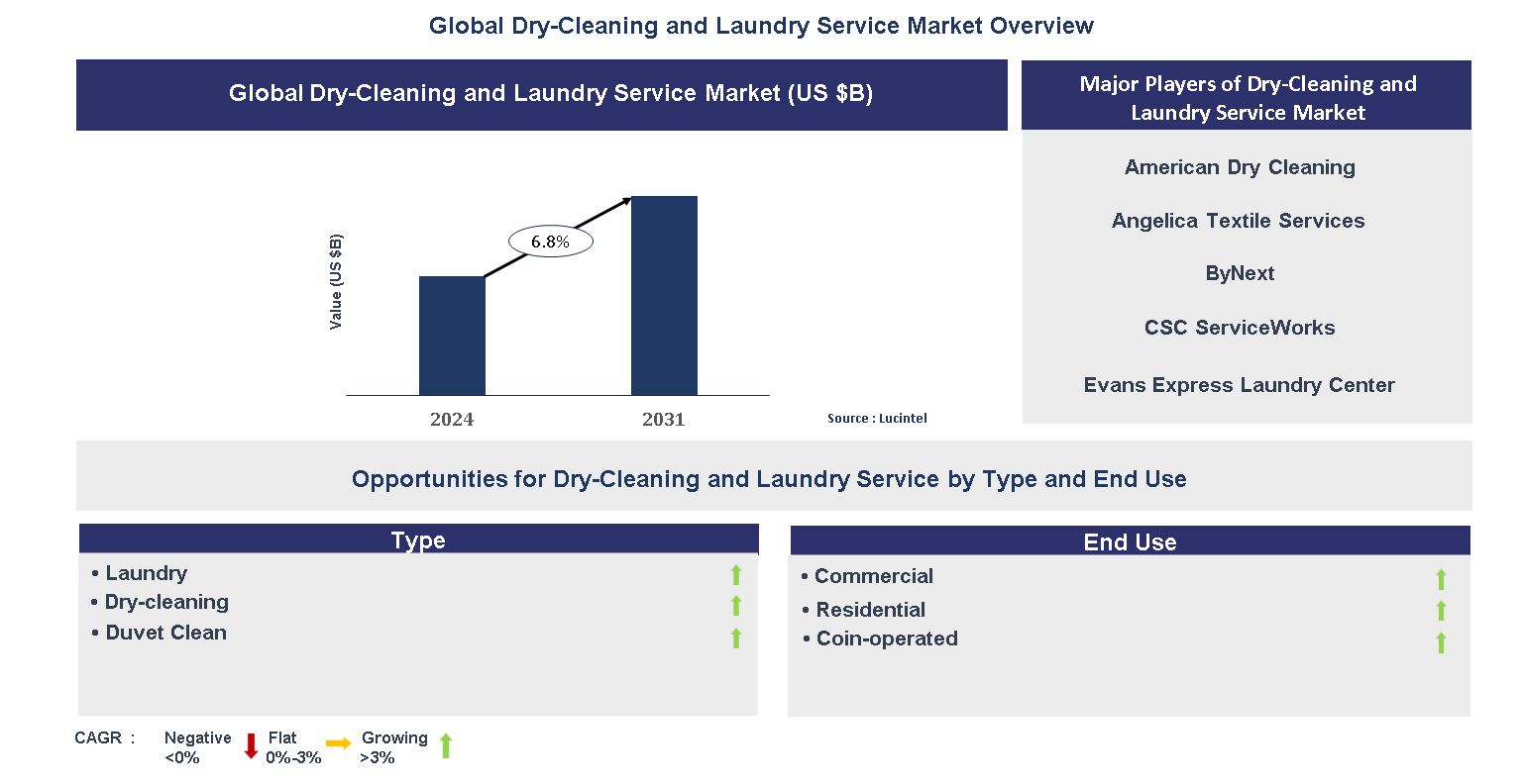 Dry-Cleaning and Laundry Service Market Trends and Forecast