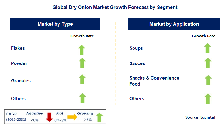 Dry Onion Market by Segment