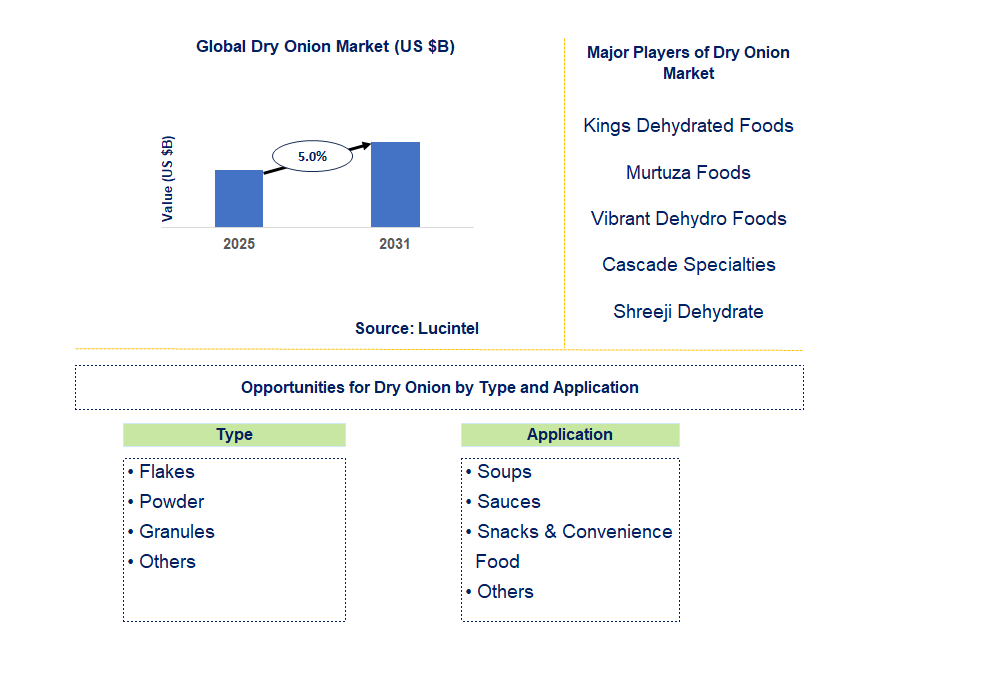 Dry Onion Market Trends and Forecast