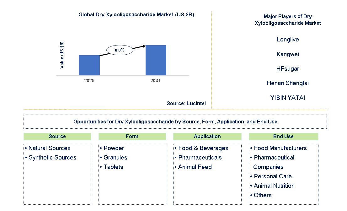 Dry Xylooligosaccharide Market Trends and Forecast