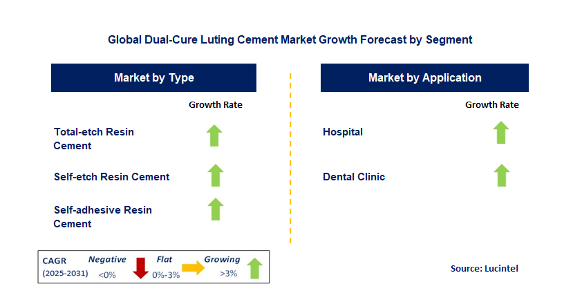 Dual-Cure Luting Cement Market by Segment