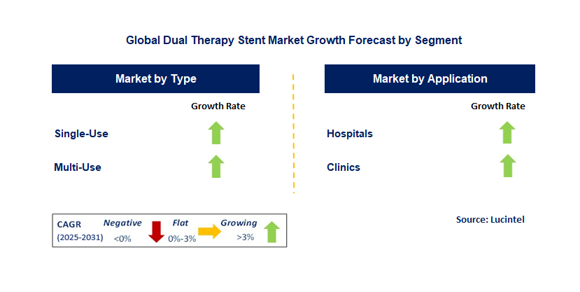 Dual Therapy Stent Market by Segment