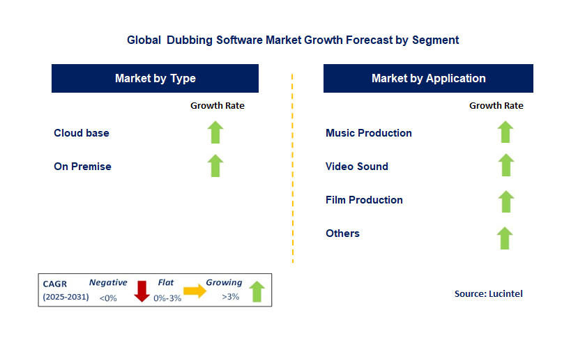 Dubbing Software Market by Segment