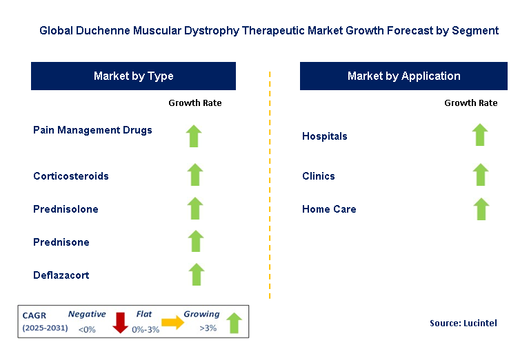 Duchenne Muscular Dystrophy Therapeutic Market by Segment