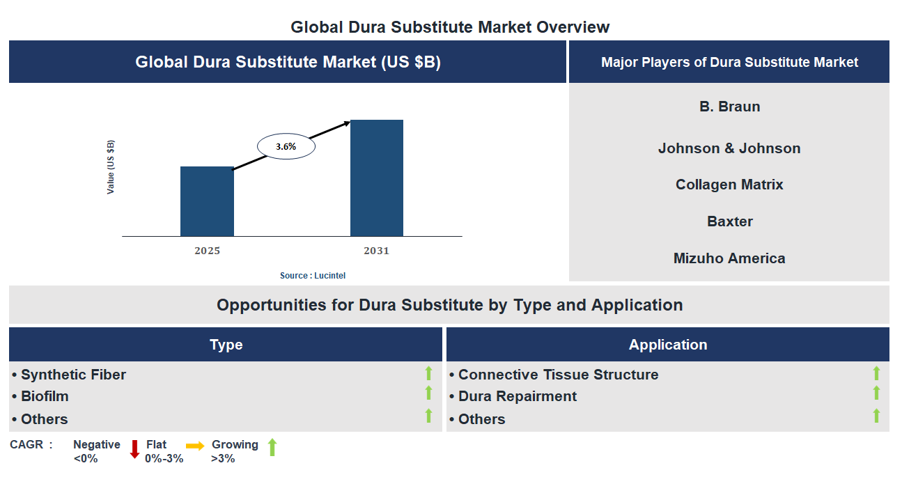 Dura Substitute Market Trends and Forecast