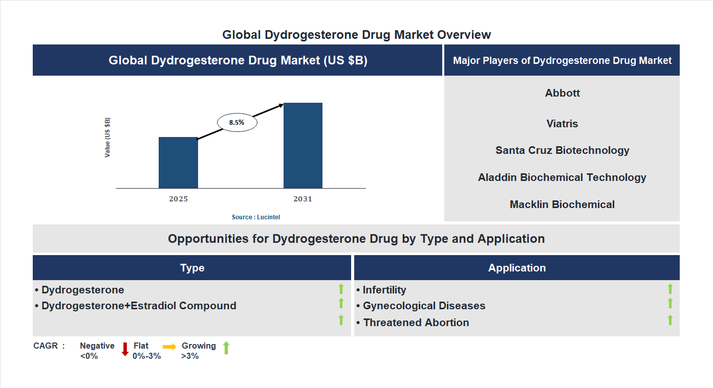 Dydrogesterone Drug Market Trends and Forecast Dydrogesterone Drug Market Trends and Forecast