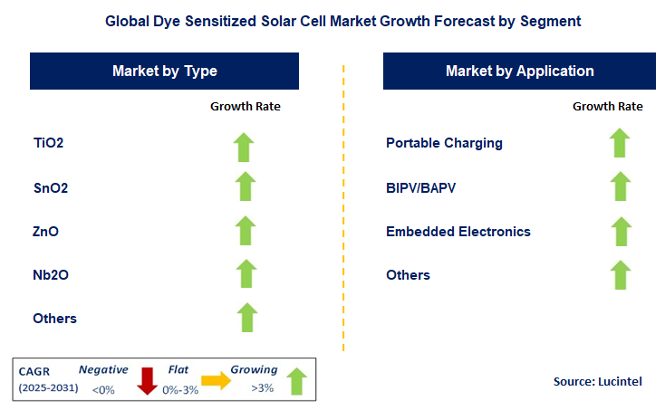 Dye Sensitized Solar Cell Market by Segment