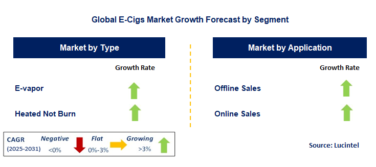 E-Cigs Market by Segment