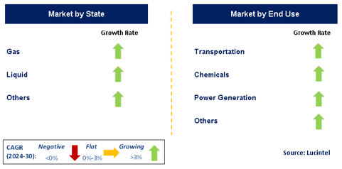 E-Fuel Market by Segment