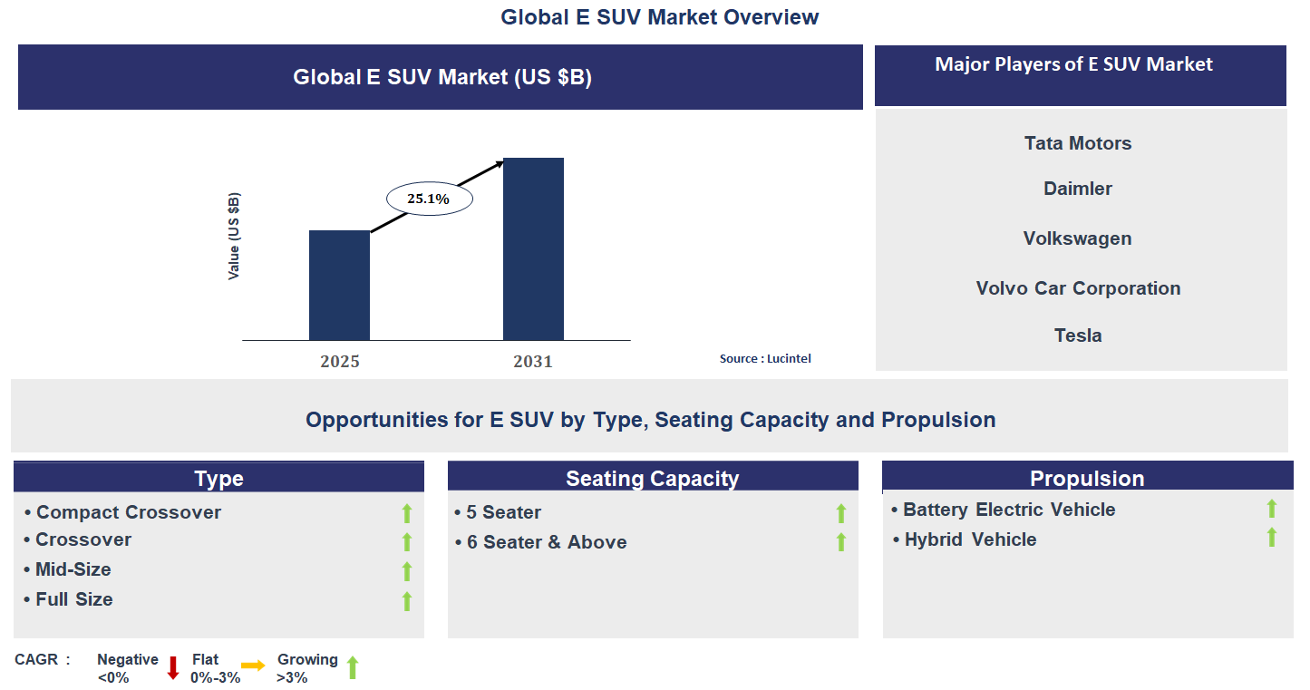 E SUV Market Trends and Forecast