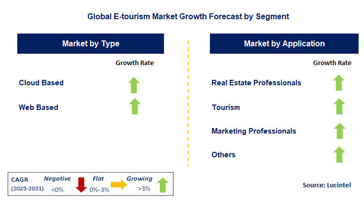 E-tourism Market by Segment