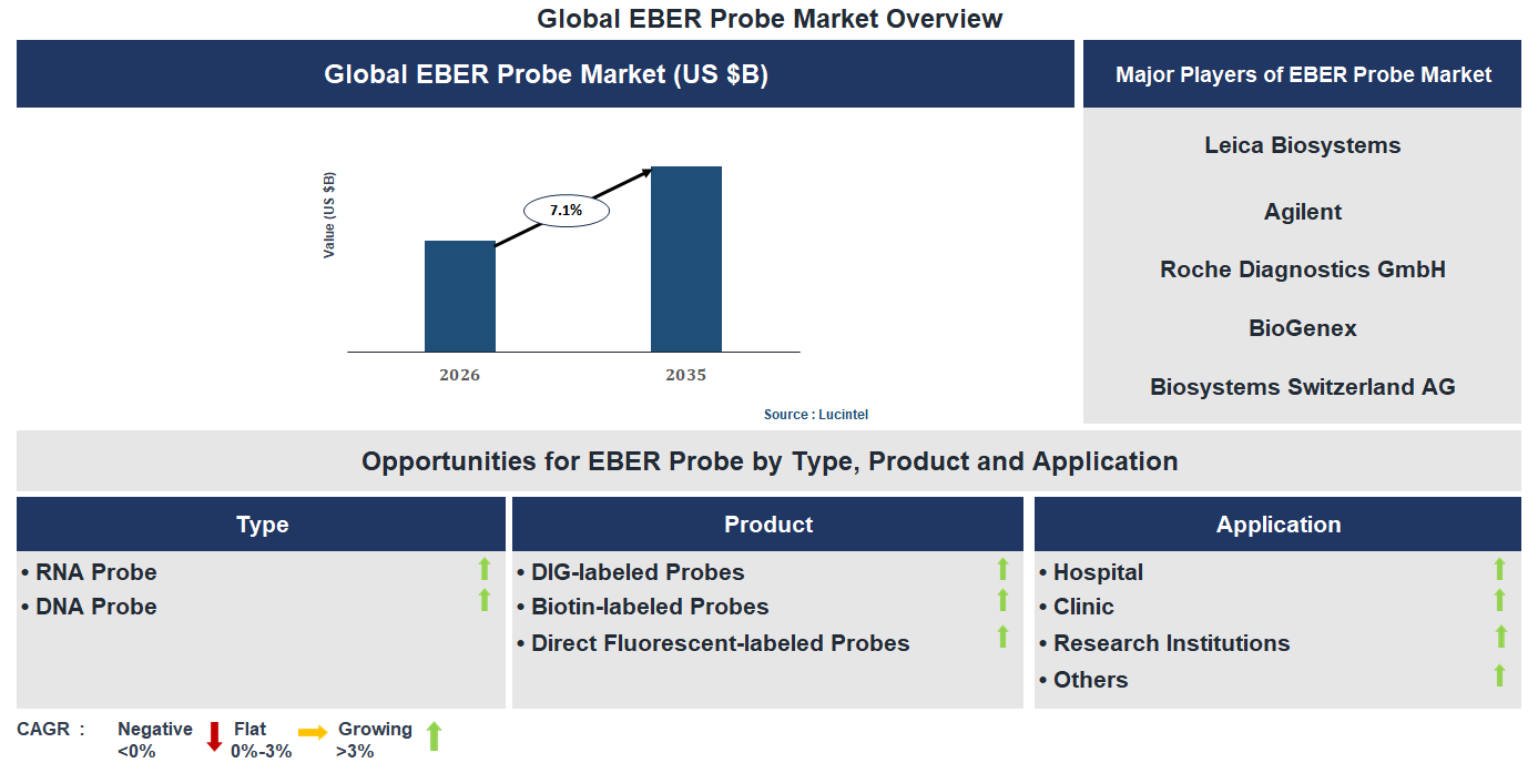 EBER Probe Market Trends and Forecast