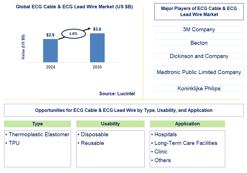 ECG Cable & ECG Lead Wire Trends and Forecast