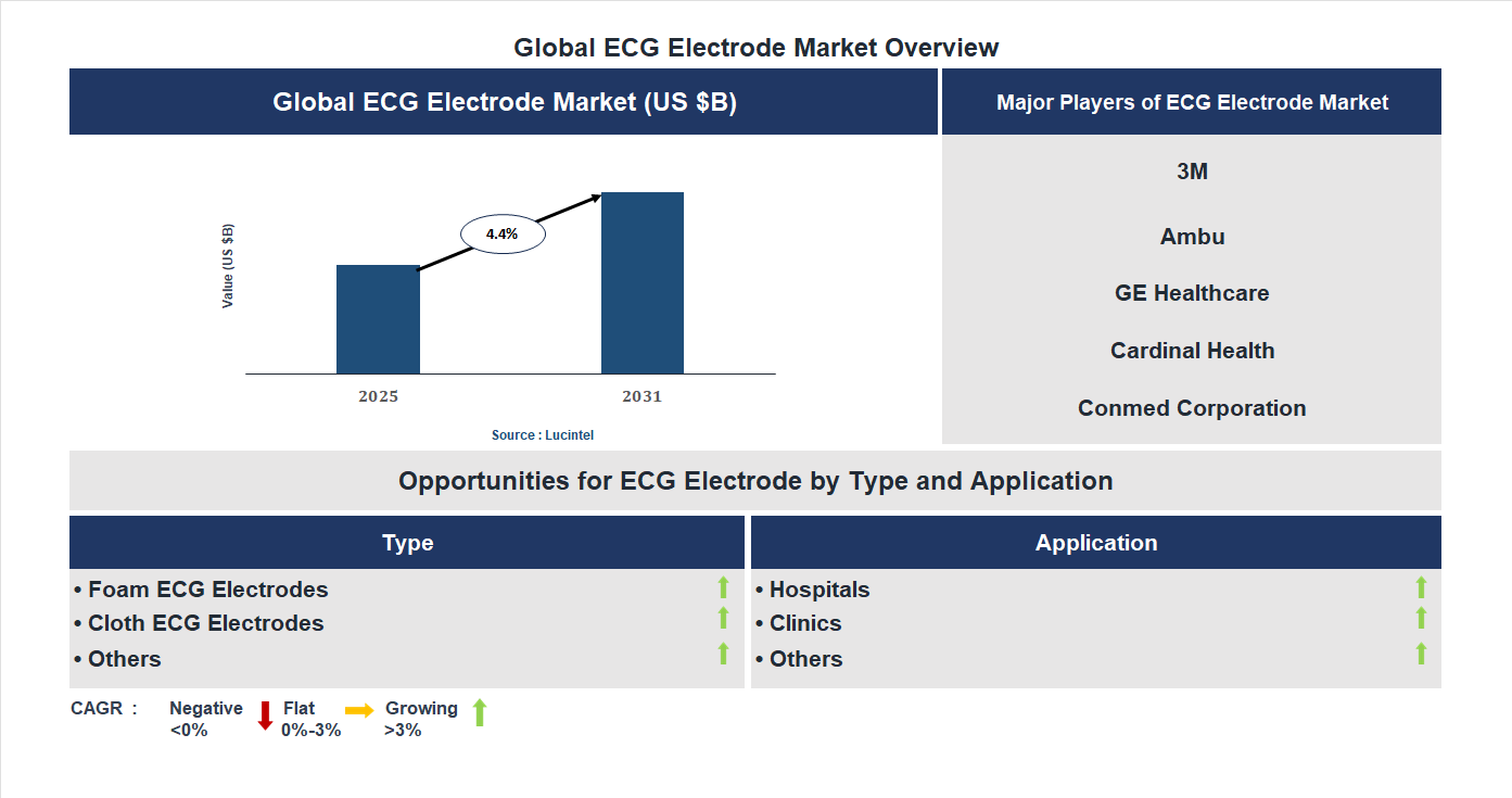 ECG Electrode Market Trends and Forecast