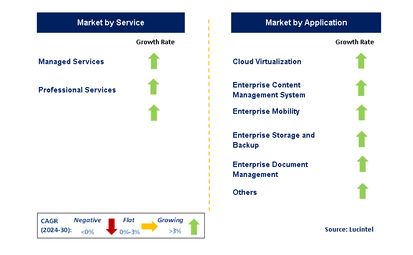 EFSS by Segment