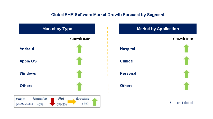 EHR Software Market by Segment