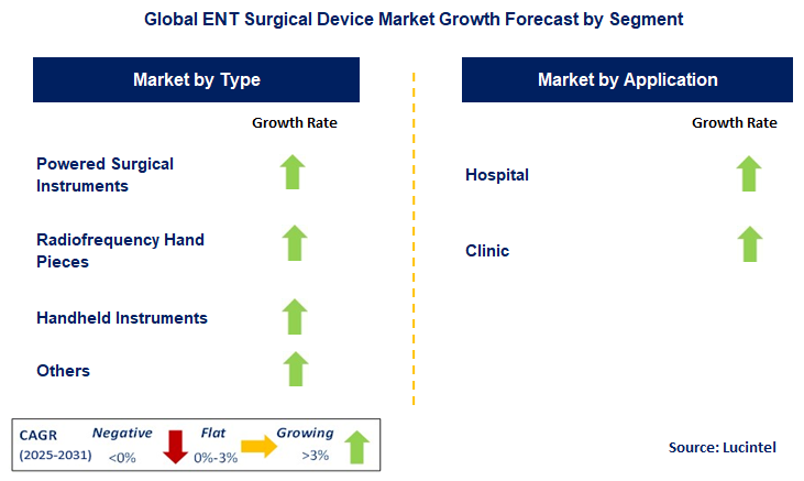 ENT Surgical Device Market by Segment