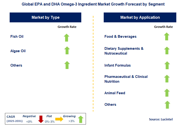 EPA and DHA Omega-3 Ingredient Market by Segment