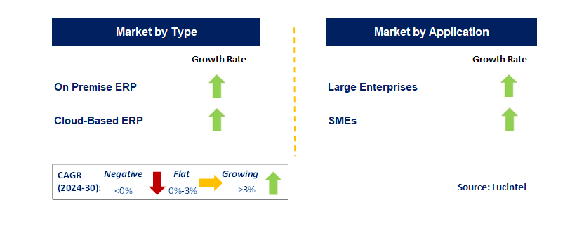 ERP Software for Retail by Segment