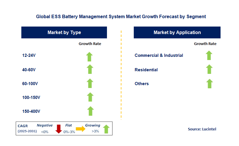 ESS Battery Management System Market by Segment