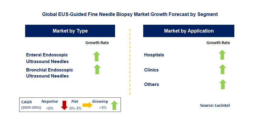 EUS-Guided Fine Needle Biopsy Market by Segment
