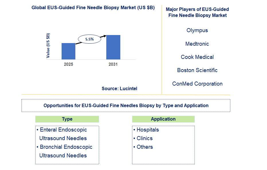 EUS-Guided Fine Needle Biopsy Market Trends and Forecast