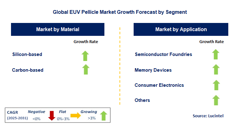 EUV Pellicle Market by Segment