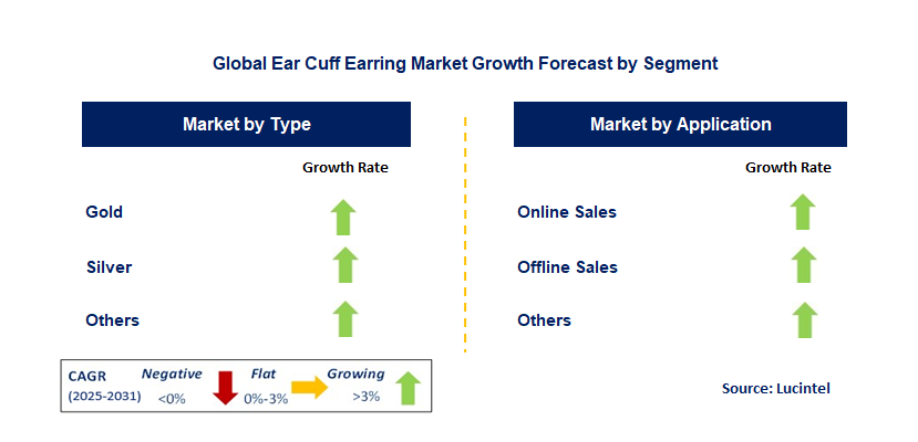 Ear Cuff Earring Market by Segment