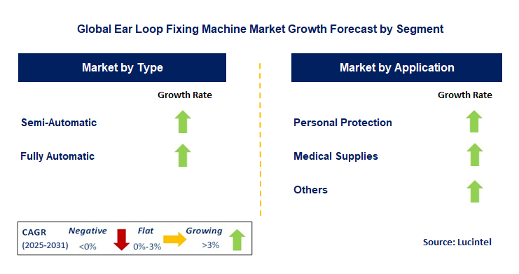 Ear Loop Fixing Machine Market by Segment