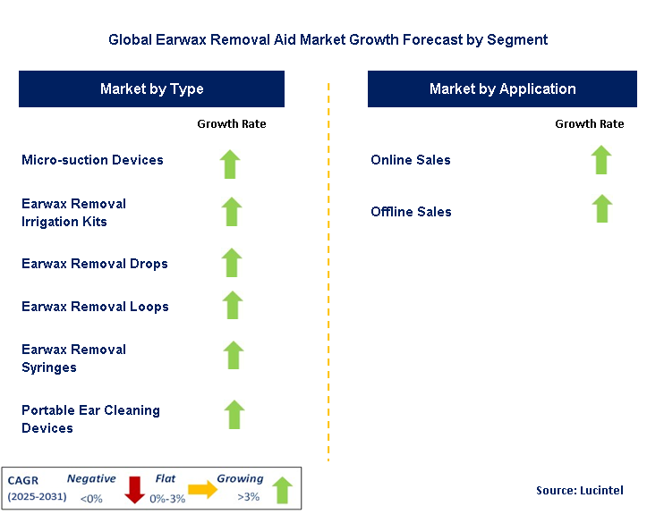 Earwax Removal Aid Market by Segment