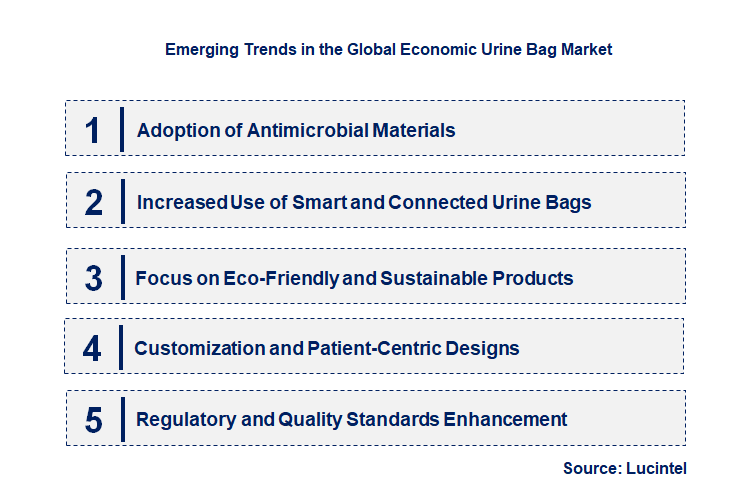 Emerging Trends in the Economic Urine Bag Market